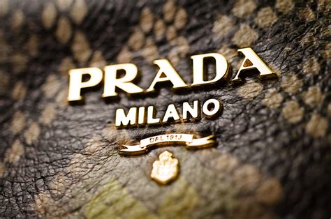 prada facts|prada brand from which country.